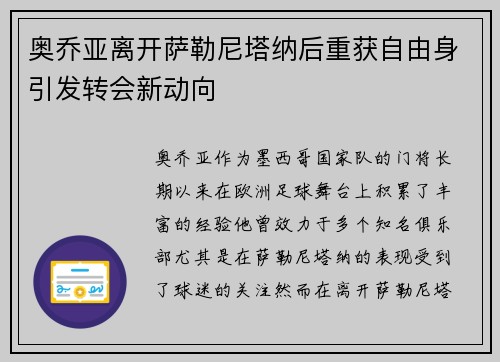 奥乔亚离开萨勒尼塔纳后重获自由身引发转会新动向